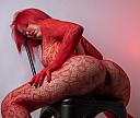 AbellaFox